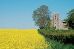 AM: 00048 St. Mary, Carleton Forehoe. Norfolk. Springtime with rape field